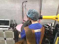 -宠福鑫康馨动物医院·骨科·眼科