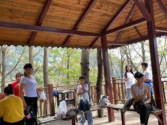 -陕西省红河谷森林公园