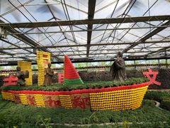 -兰陵国家农业公园