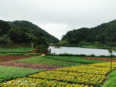 -广州市石门国家森林公园