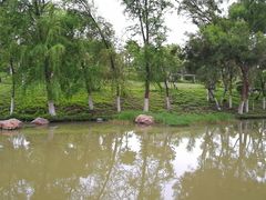 -厦门国家会计学院