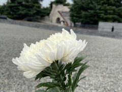 -侵华日军南京大屠杀遇难同胞纪念馆