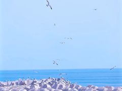 -东港音乐喷泉广场