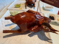 -侨美·唐荔园·40年地道粤菜