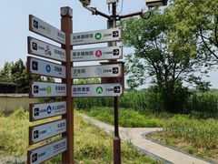 -同里国家湿地公园