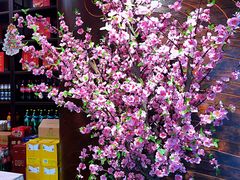 -解家河南菜(商鼎路店)