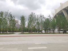 -上海游泳馆(地铁站)