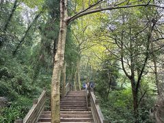 -青城山