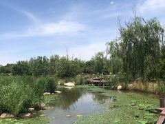 -武清南湖绿博园