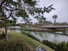 -王借岗森林公园
