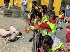 -东方剑桥幼儿园