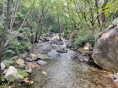 -云岫谷游猎自然风景区