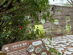 -华侨城湿地公园