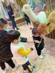 -宝燕乐园(闵行旗舰店)