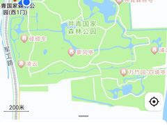 -上海共青森林公园