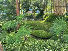 -成都市活水公园