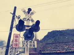 -千岛湖石林
