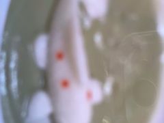 -海立阁海鲜江浙菜(漕河泾印象城店)