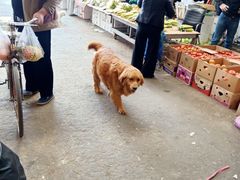-大连双兴商品城