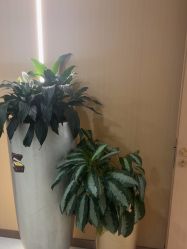 -南京康美美容医院·旗舰店