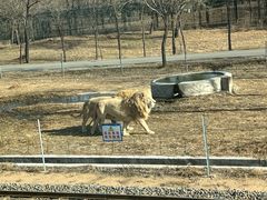 -秦皇岛野生动物园