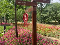 -廊坊市自然公园