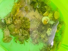 -青岛第一海水浴场