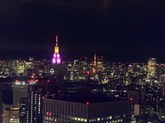 -东京都厅舍