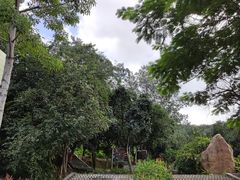 -火炉山森林公园