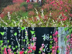 -桃花涧