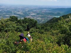 -阳台山自然风景区