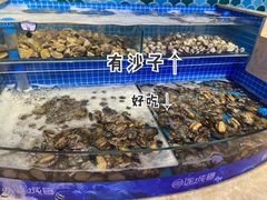 -乔哥铭洋海鲜自助(皇城恒隆广场店)