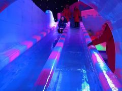 -梦幻奥陶纪景区