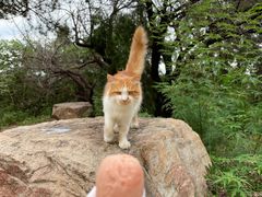 -北京西山国家森林公园