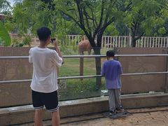 -广州长隆国际大马戏