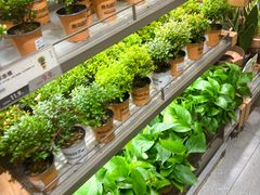 -鹿岛生活(熙地港店)