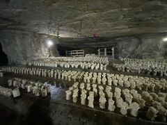 -仙蘑洞