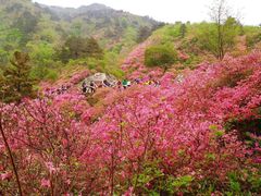 -木兰云雾山