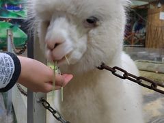 -上海大自然野生昆虫馆(东方明珠·爬宠昆虫探索中心)