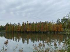 -白鹭湾湿地公园