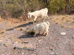 -北京西山国家森林公园