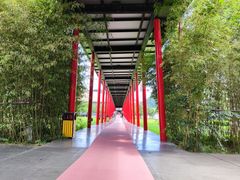 -Club Med地中海俱乐部·桂林度假村