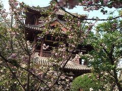-西安青龙寺遗址景区