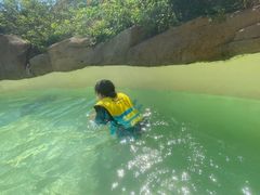 -杭州开元森泊度假乐园