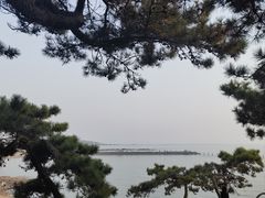 -青岛海滨风景区