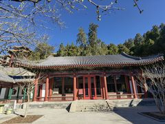 -宫事颐庭·老佛爷贵寿下午茶(颐和园店)