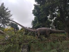 -自贡恐龙博物馆