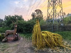 -大鹅岛绿色生态美食园