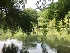 -贵阳市花溪国家城市湿地公园