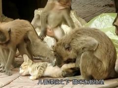 -昆明动物园